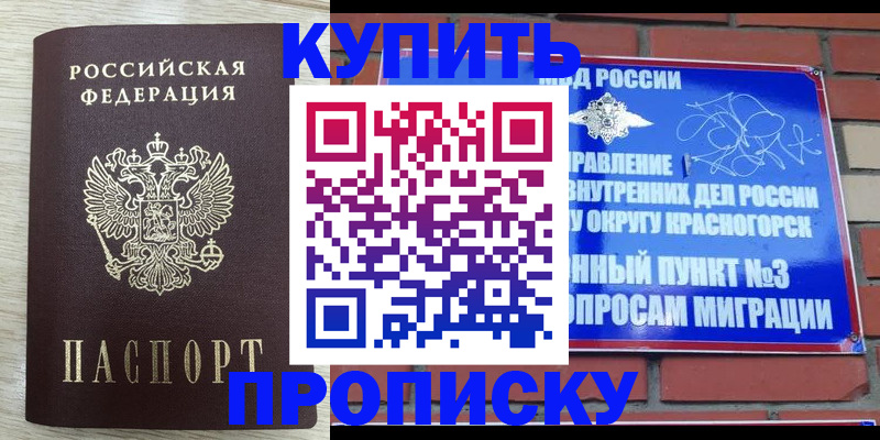 прописка гарантия в Гусеве